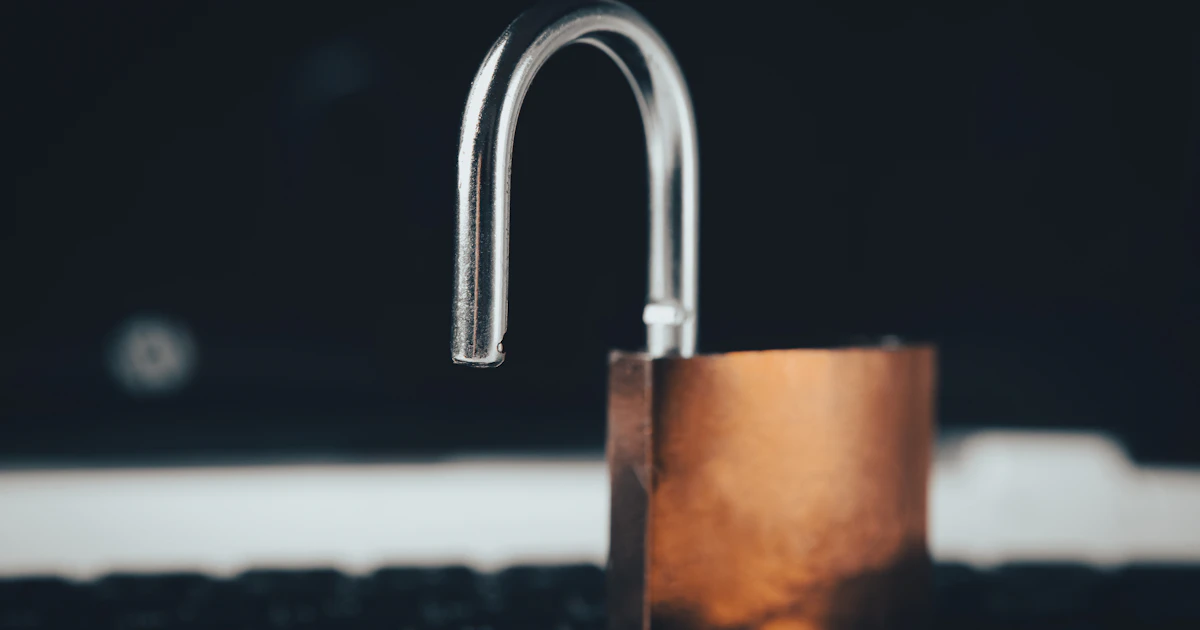 Comparing Privacy-First AI Tools and Extensions